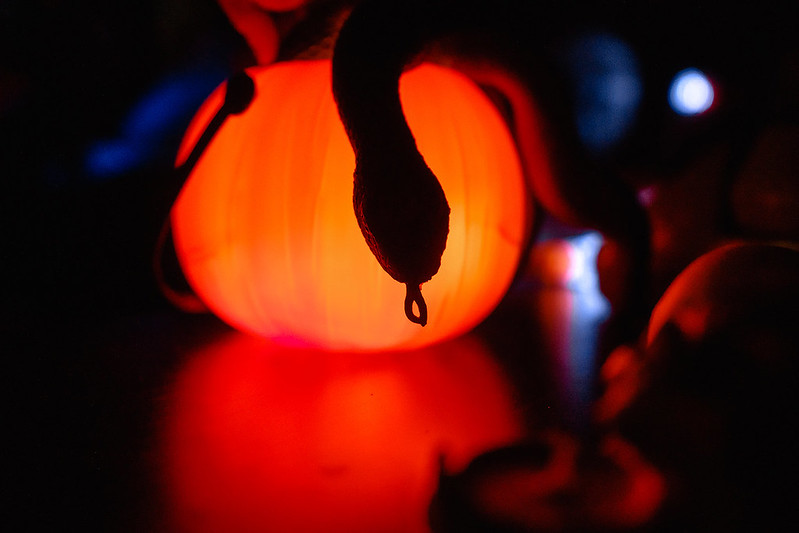 Украшение дома паутиной и летучими мышами к Хэллоуину в Baku